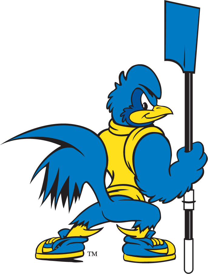 Delaware Blue Hens 1999-2009 Mascot Logo diy iron on heat transfer